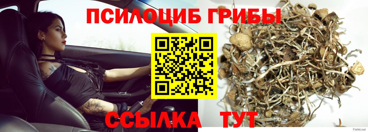 Канабис Кострома