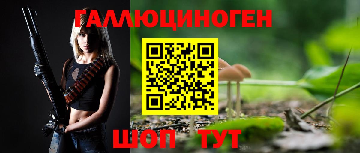 Кострома  Псилоцибиновые грибы MAGIC MUSHROOMS  Вход с VPN  Псилоцибиновые грибы MAGIC MUSHROOMS 